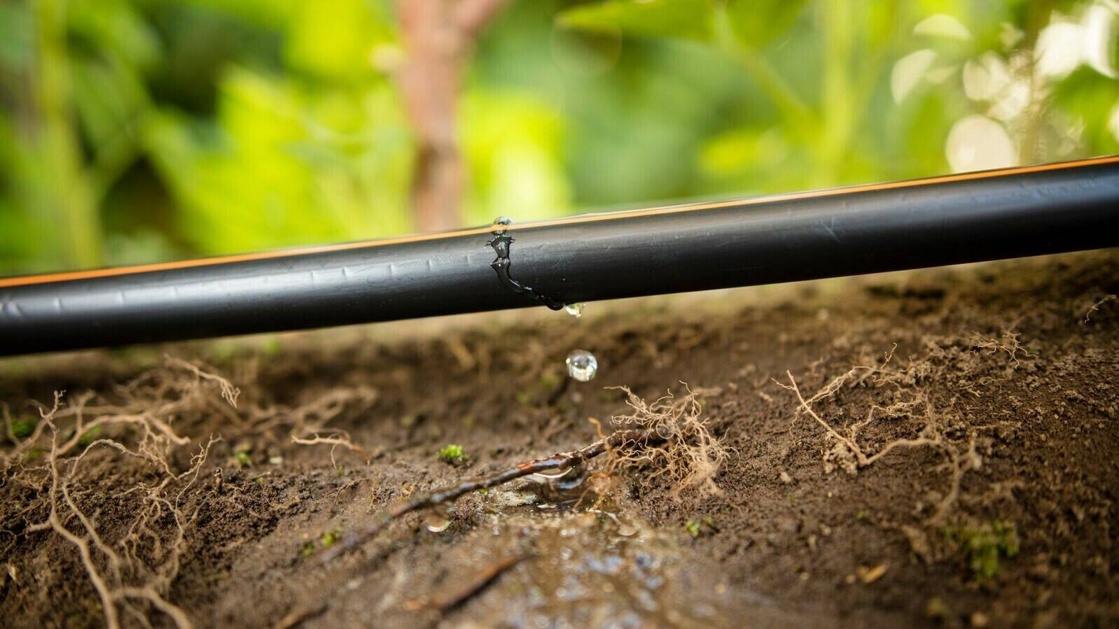 |sobre cintas de riego|riegos eficientes|